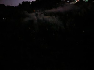 20260609_223206
